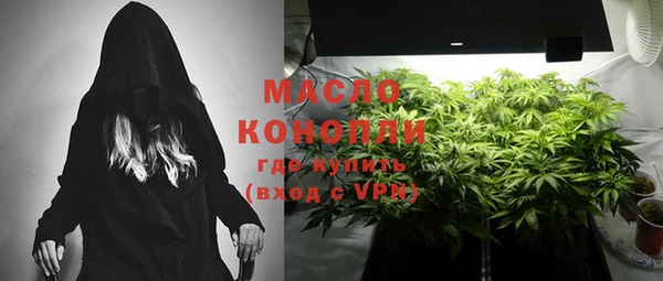 гашиш Богданович