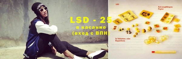 гашиш Богданович